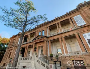 Mas, por que eu tô falando tanto da Pinacoteca e dessa exposição sobre cultura negra?