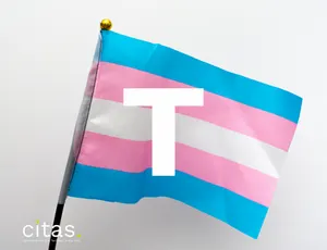 Transexualidade (T)