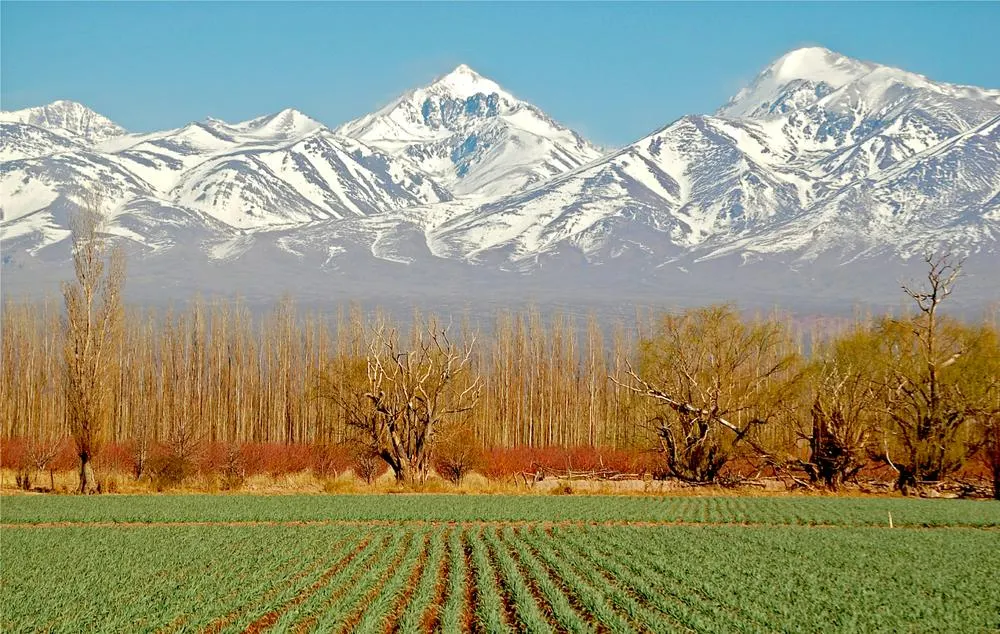 Things to do in the Mendoza Wine Region in Argentina