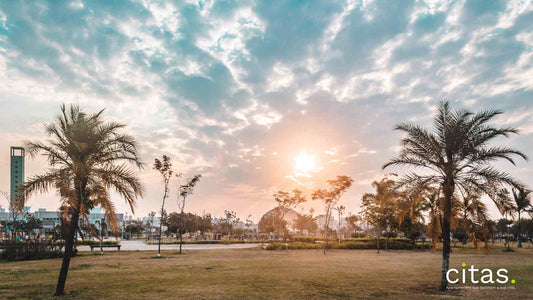 Área verde em São Paulo: os 5 melhores parques