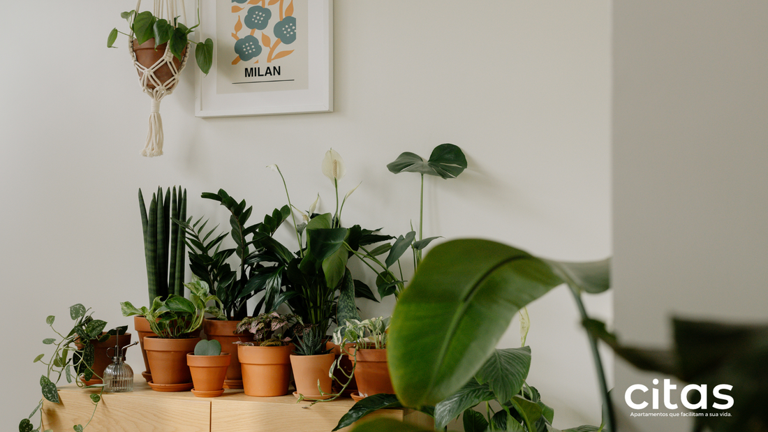 Como Decorar Seu Apartamento com Móveis Sustentáveis